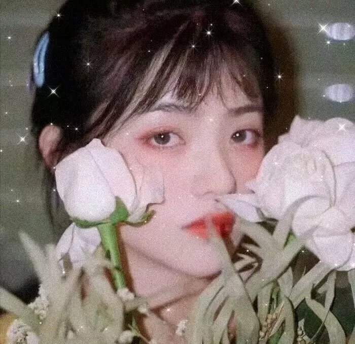 枝头凤