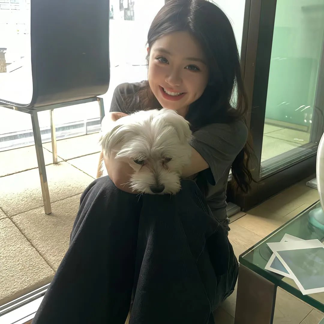 新沙洞燕子